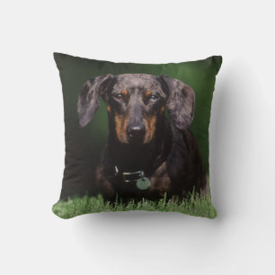 Ansicht eines Dapple-farbenen Dachshunds Kissen