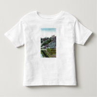 Ansicht eines Diamanten MineOroville, CA