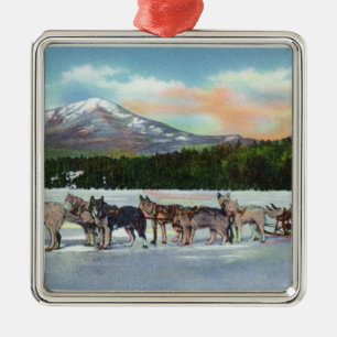 Ansicht eines Dogsled Teams auf Mirror See Silbernes Ornament