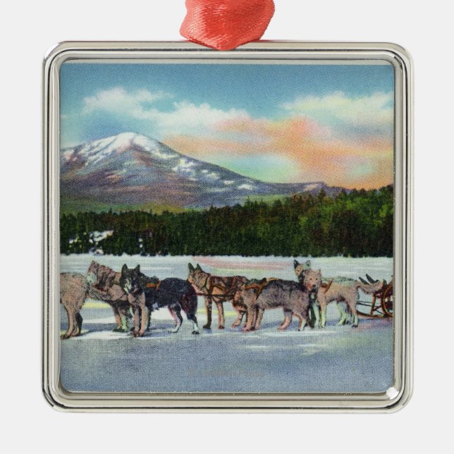 Ansicht eines Dogsled Teams auf Mirror See Silbernes Ornament (Vorne)