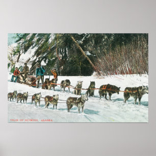Ansicht eines Husky Dog-Sled Teams Poster