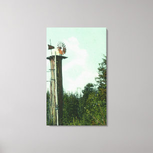 Ansicht eines Mammutbaum-Winds MillEureka, CA Leinwanddruck