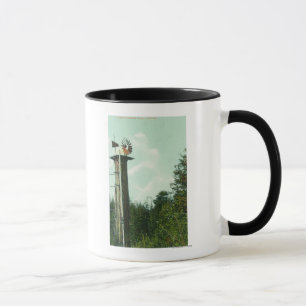 Ansicht eines Mammutbaum-Winds MillEureka, CA Tasse