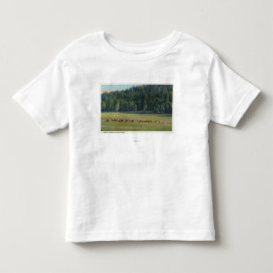 Ansicht eines Satzes weiden lassender Rotwild Kleinkind T-shirt