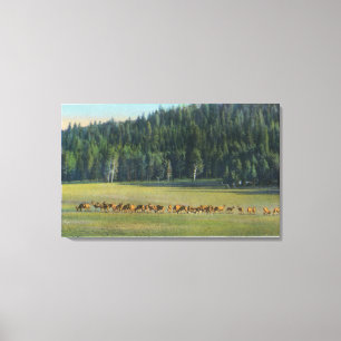 Ansicht eines Satzes weiden lassender Rotwild Leinwanddruck