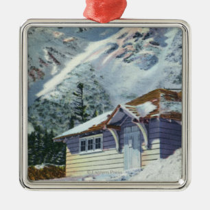 Ansicht eines US-Forstdienst-Ski-Schutz Silbernes Ornament