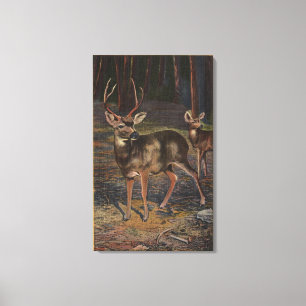 Ansicht eines wilden Dollars u. der Damhirschkuh Leinwanddruck