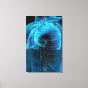 Ansicht mit drei Vierteln des Herzens und der Leinwanddruck