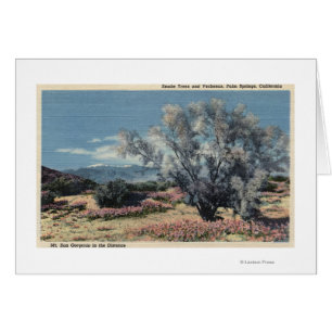 Ansicht Mt. San Gorgonio, Rauch-Bäume