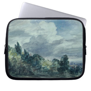 Ansicht über eine breite Landschaft, mit Bäumen  Laptopschutzhülle