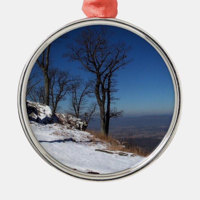 "Ansicht vom Skyline-Antrieb, VA " Ornament Aus Metall (Vorne)