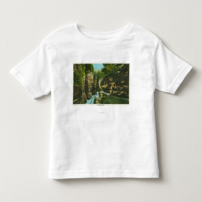 Ansicht von Ausable Abgrund Kleinkind T-shirt (Vorderseite)