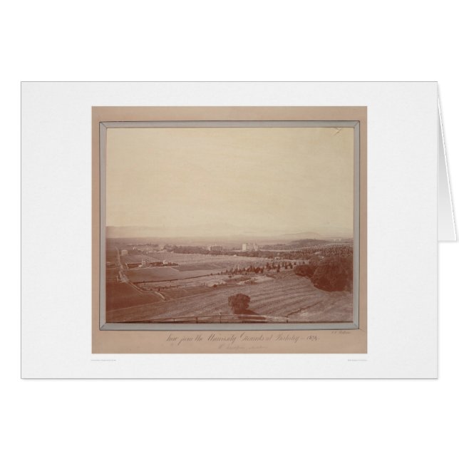 Ansicht von der Universität gerieben… (1338) (Vorderseite (Horizontal))