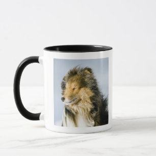 Ansicht von die Shetlandinseln-Schäferhund Tasse