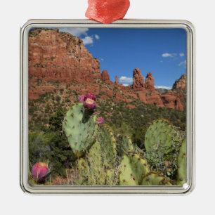 Ansicht von DoppelButtes Sedona, Arizona Ornament Aus Metall