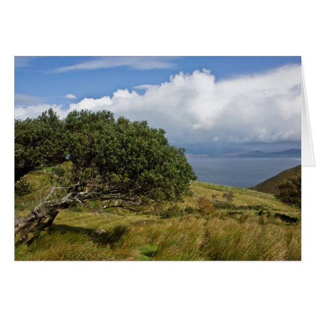 Ansicht von Drung Hügel (Vorderseite (Horizontal))