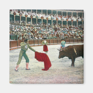 Ansicht von einem Matador ungefähr, zum des Magnet