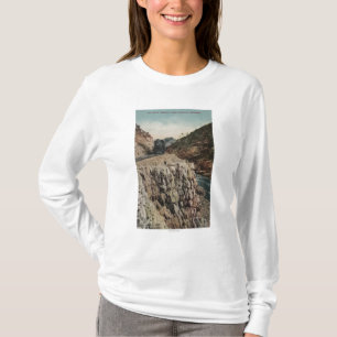 Ansicht von Kasten-Canon-Zug T-Shirt