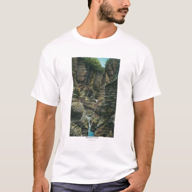 Ansicht von Minnehaha Schlucht T-Shirt (Vorderseite)
