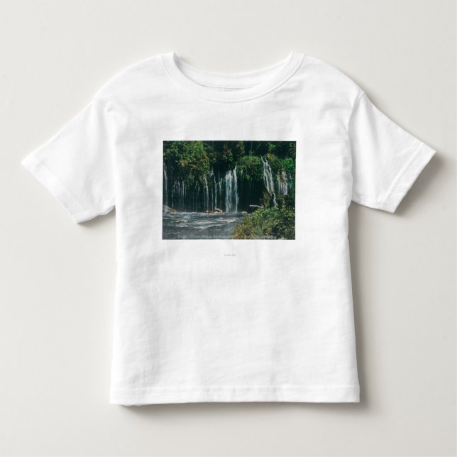 Ansicht von Mossbrae FallsShasta Frühlingen, CA Kleinkind T-shirt (Vorderseite)