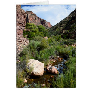 Ansicht von NordKaibab Spur