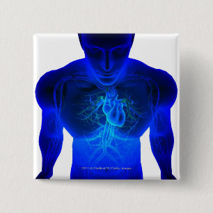 Ansicht von oben genanntem des Plans der Button