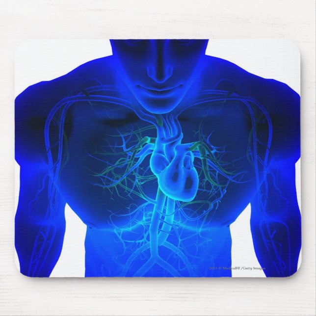 Ansicht von oben genanntem des Plans der Mousepad (Vorne)