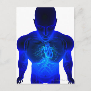 Ansicht von oben genanntem des Plans der Postkarte