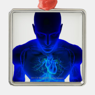 Ansicht von oben genanntem des Plans der Silbernes Ornament