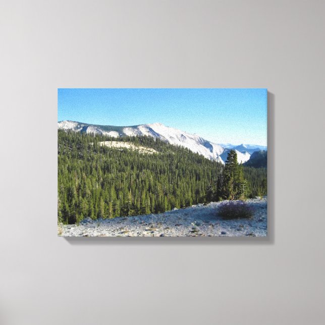 Ansicht von Olmstead Point, Yosemite, CA Leinwanddruck (Vorderseite)