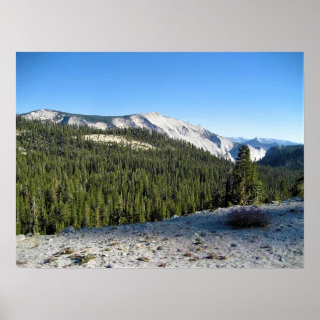 Ansicht von Olmstead Point, Yosemite, CA Poster (Vorne)