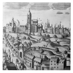 Ansicht von Prag den Kaiserpalast zeigend und Fliese