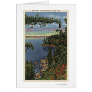 Ansicht von See durch Zuckerkiefern