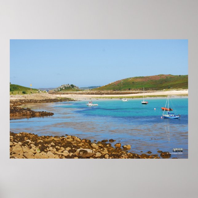 Ansicht von "The Bar" Poster (Vorne)