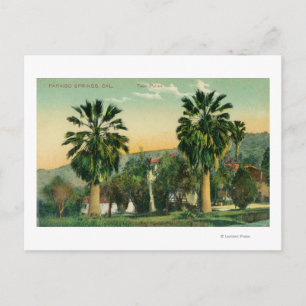 Ansicht von ZwillingspalmenParaiso Springs, CA Postkarte