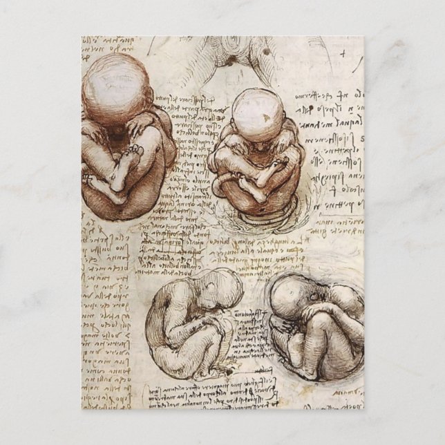 Ansichten eines Fetus in Womb.jpg von Leonardo Vin Postkarte (Vorderseite)