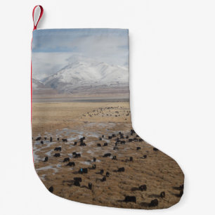 ANSICHTEN VON EINEM ZUG NACH TIBET KLEINER WEIHNACHTSSTRUMPF