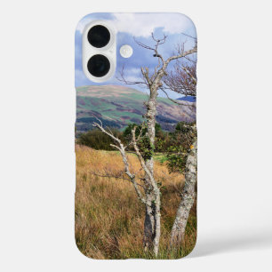 ANSICHTEN VON WALES iPhone 16 HÜLLE