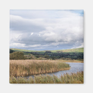 ANSICHTEN VON WALES MAGNET