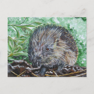 Ansichtkaart Egel. Postkarte