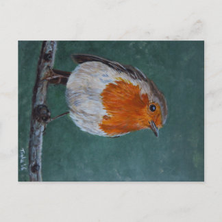 Ansichtkaart Roodborst. Briefkaart Postkarte