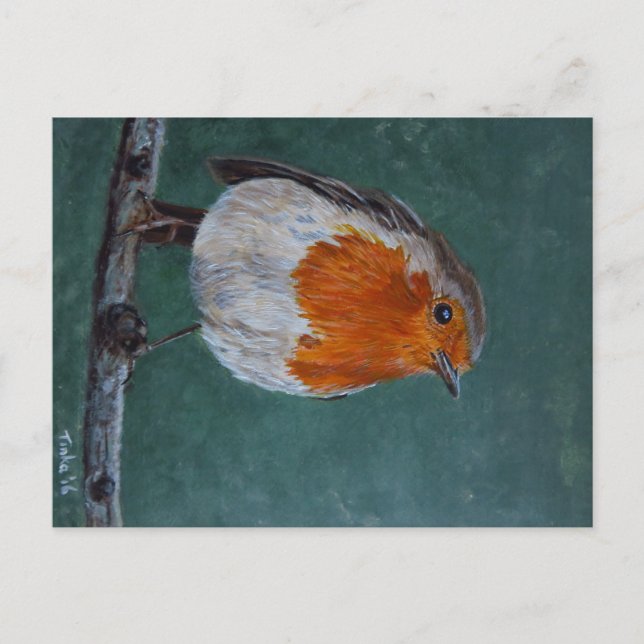 Ansichtkaart Roodborst. Briefkaart Postkarte (Vorderseite)