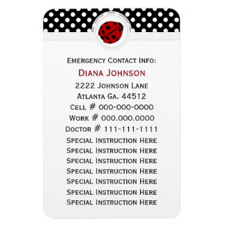 Ansprechpartner: Ladybug und Polka Dot Magnet