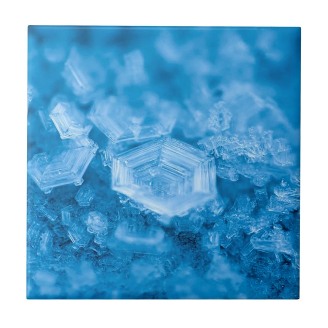 Anspruchsvoller Stil: Elegance Keramik Tile Collec Fliese (Vorderseite)