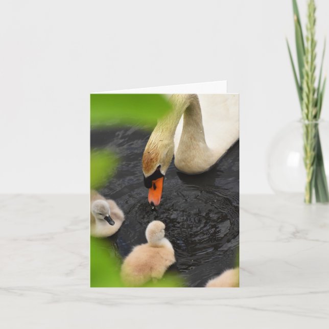 Anstandsone (Mute swan cygnets #5) - Blank Note Ca Karte (Vorderseite)