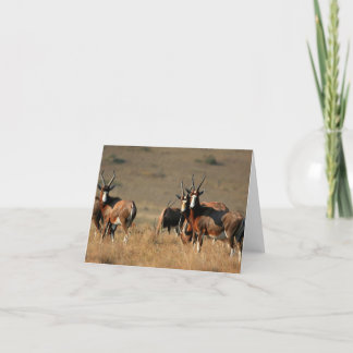Anstarren blesbok Anmerkungskarte Karte