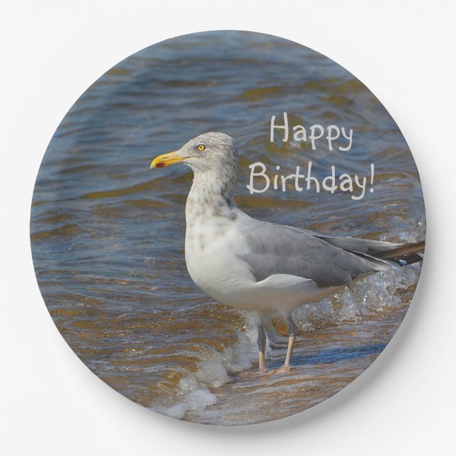 Anstarren der Seemöwe Pappteller (Vorderseite)