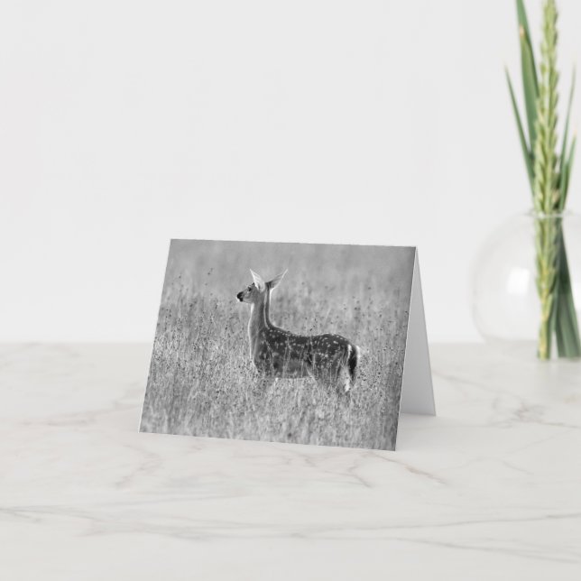 Anstarren des Kitzes Karte (Vorderseite)