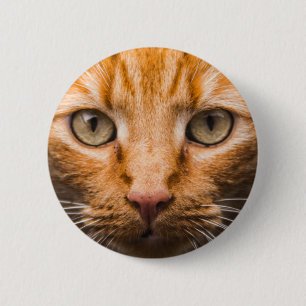 Anstarrenkatzenknöpfe Button