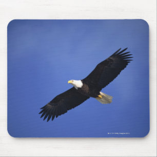 Ansteigender Weißkopfseeadler, Alaska Mousepad